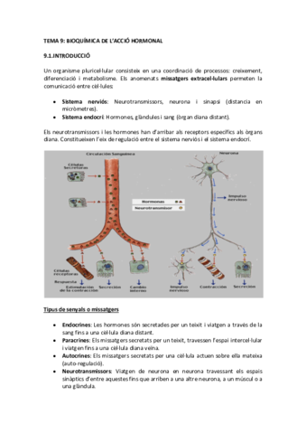 TEMA 9.pdf