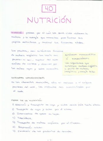 VEGETAL TEMA 4.pdf