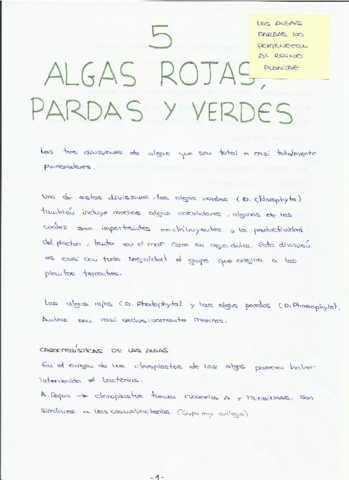 VEGETAL T.5.pdf