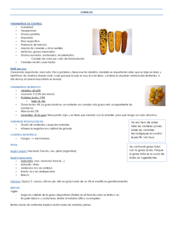 TEMA 7 CEREALES.pdf