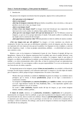 Apuntes Teoría de la Imagen.pdf