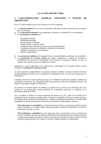 LA ACCIÓN PROTECTORA.pdf