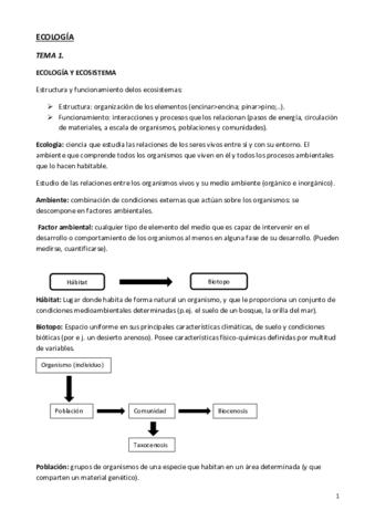 TEMA1.pdf