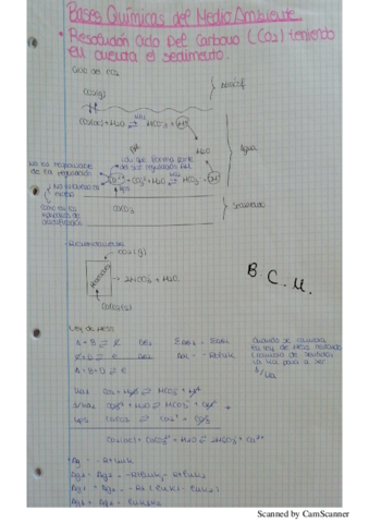 ejercicios de bases químicas.pdf