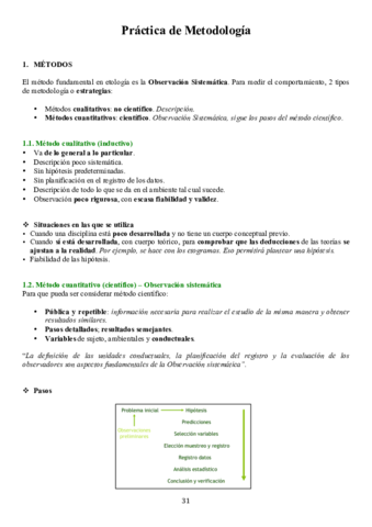Práctica de Metodología.pdf