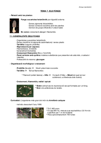 Apunts botànica farmacèutica (Tema 7).pdf