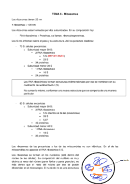 TEMA 6_Ribosomas.pdf