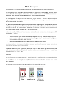 TEMA 7_Citoesqueleto.pdf