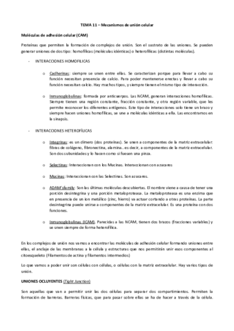 TEMA 11_Mecanismos de unión.pdf