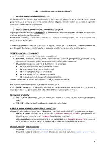 Tema 13.pdf