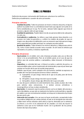 TEMA 2. SISTEMA JUDICIAL ESPAÑOL.pdf