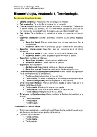 Anatomía Completo..pdf