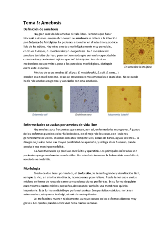 Tema 5 parasitología.pdf