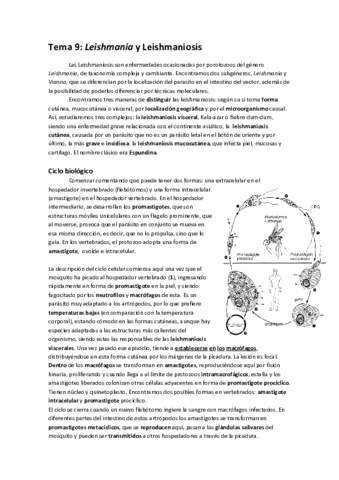 Tema 9 parasitología. Leishmaniosis..pdf