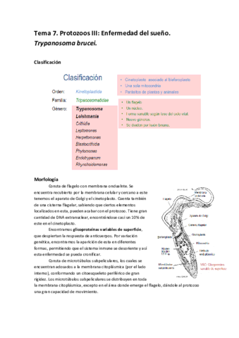 Tema 7 parasitologia.pdf