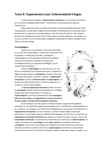 Tema 8 Enfermedad de Chagas.pdf