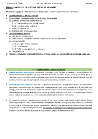 DELINCUENCIA JUVENIL_TEMA 5_ANDREA.pdf
