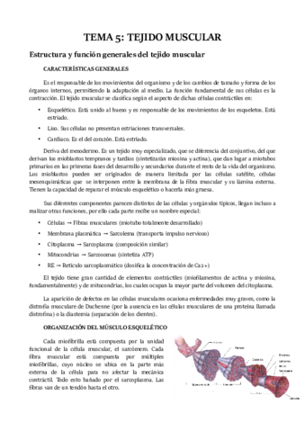 TEMA 5.pdf