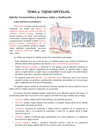 TEMA 2.pdf