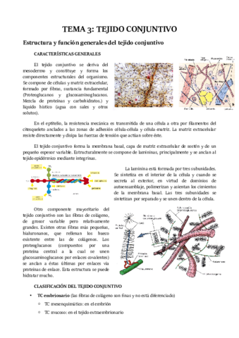 TEMA 3.pdf