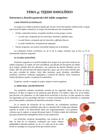 TEMA 4.pdf