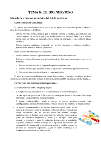 TEMA 6.pdf