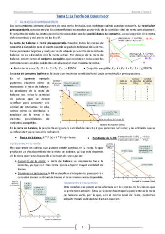 Tema 1-Tª del Consumidor.pdf