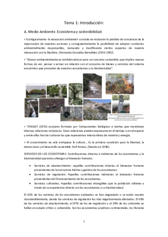 Apuntes ECA..pdf
