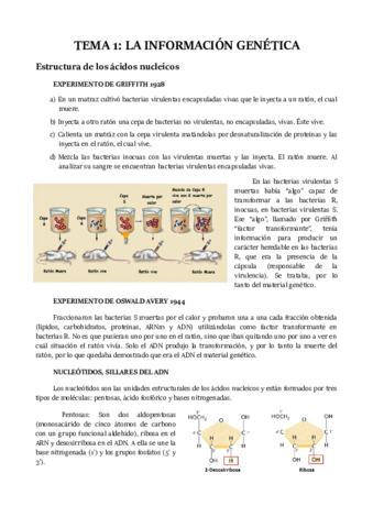 TEMA 1.pdf