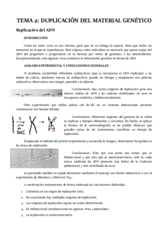 TEMA 2.pdf