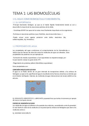 T1 las biomoleculas .pdf