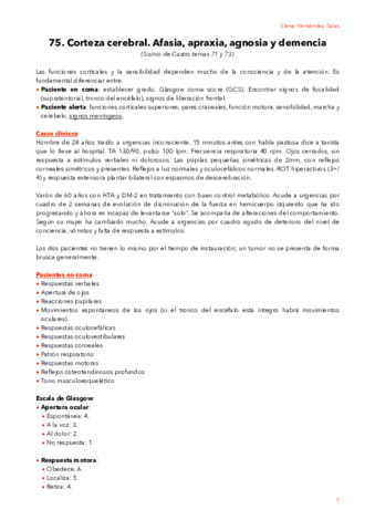 75. Corteza cerebral.pdf