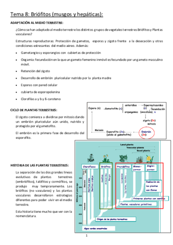 8. Briófitos (musgos y hepáticas).pdf