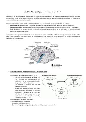 TEMA 3.pdf