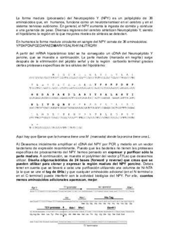 Ejercicio_1.pdf