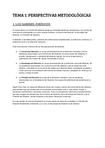 TEMA 1 PERSPECTIVAS METODOLÓGICAS__.pdf