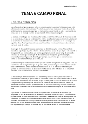 TEMA 6 CAMPO PENAL_.pdf