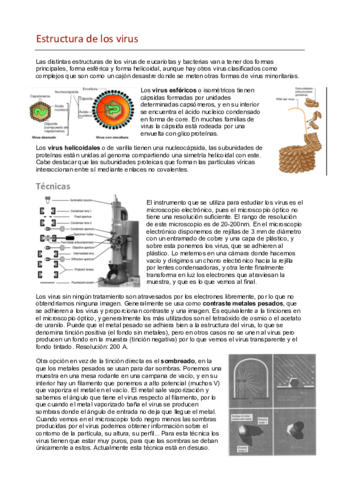 Estructura de los virus.pdf