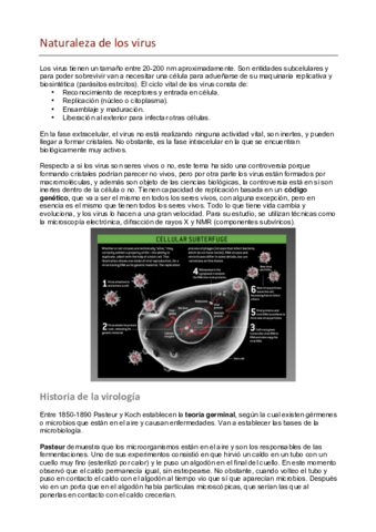 Impacto de los virus en la biosfera.pdf