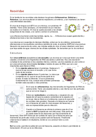 12. Reoviridae.pdf