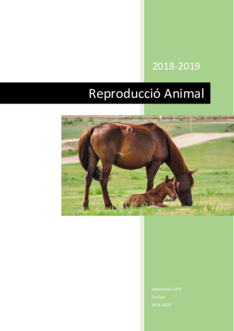 Reproducció Animal.pdf