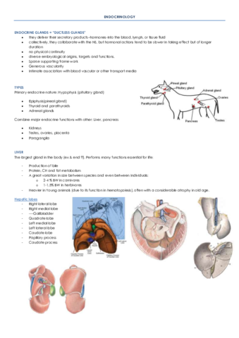 Endocrinology.pdf