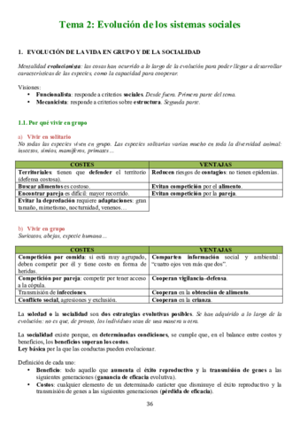TEMA 2.pdf