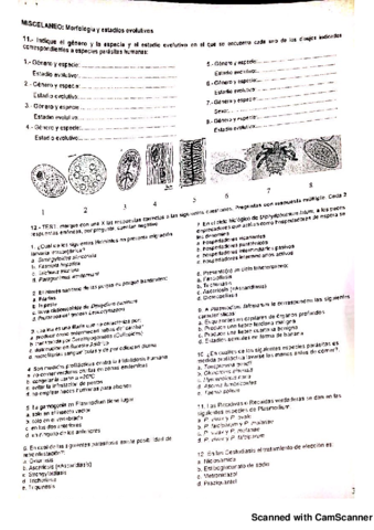 exámenes parasitology.pdf