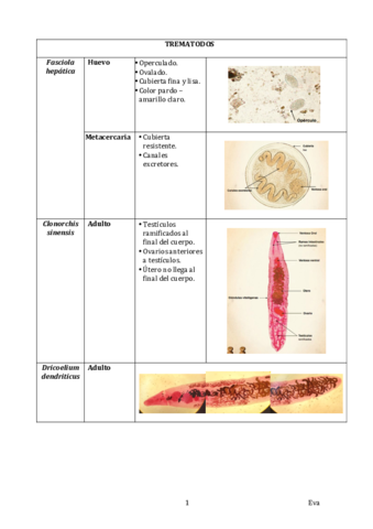 Prácticas PA 16.14.45.pdf