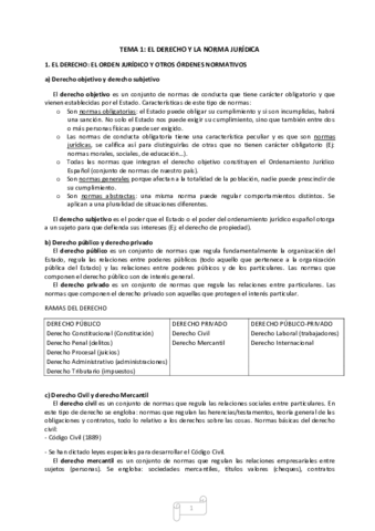 Temario Derecho.pdf