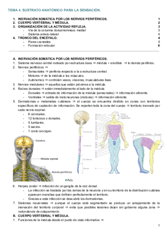 TEMA 4. SUSTRATO ANATÓMICO PARA LA SENSACIÓN SOMÁTICA..pdf