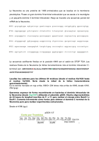 Ejercicio_7.pdf