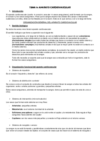 Sistema cardiovascular completo.pdf