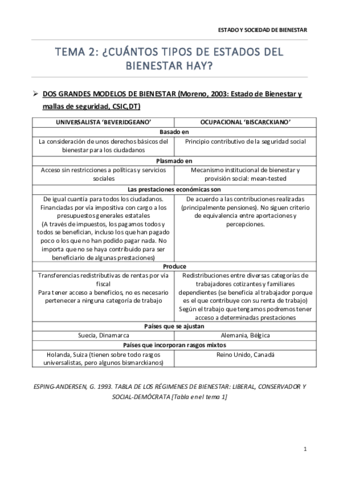 ESTADO Y SOCIEDAD DE BIENESTAR tema 2 .pdf
